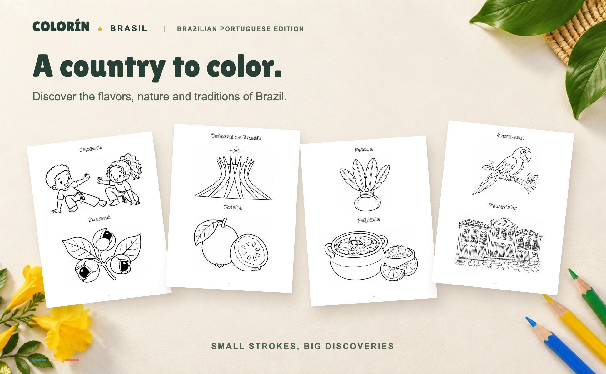 Cultura, paisajes, fauna y sabores de Brasil de Colorín Brasil