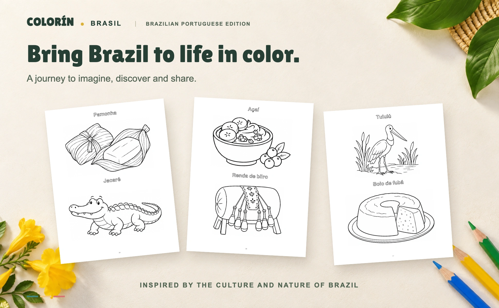 Pamonha, caimán, açaí, encaje de bolillos, jabirú y bolo de fubá de Colorín Brasil