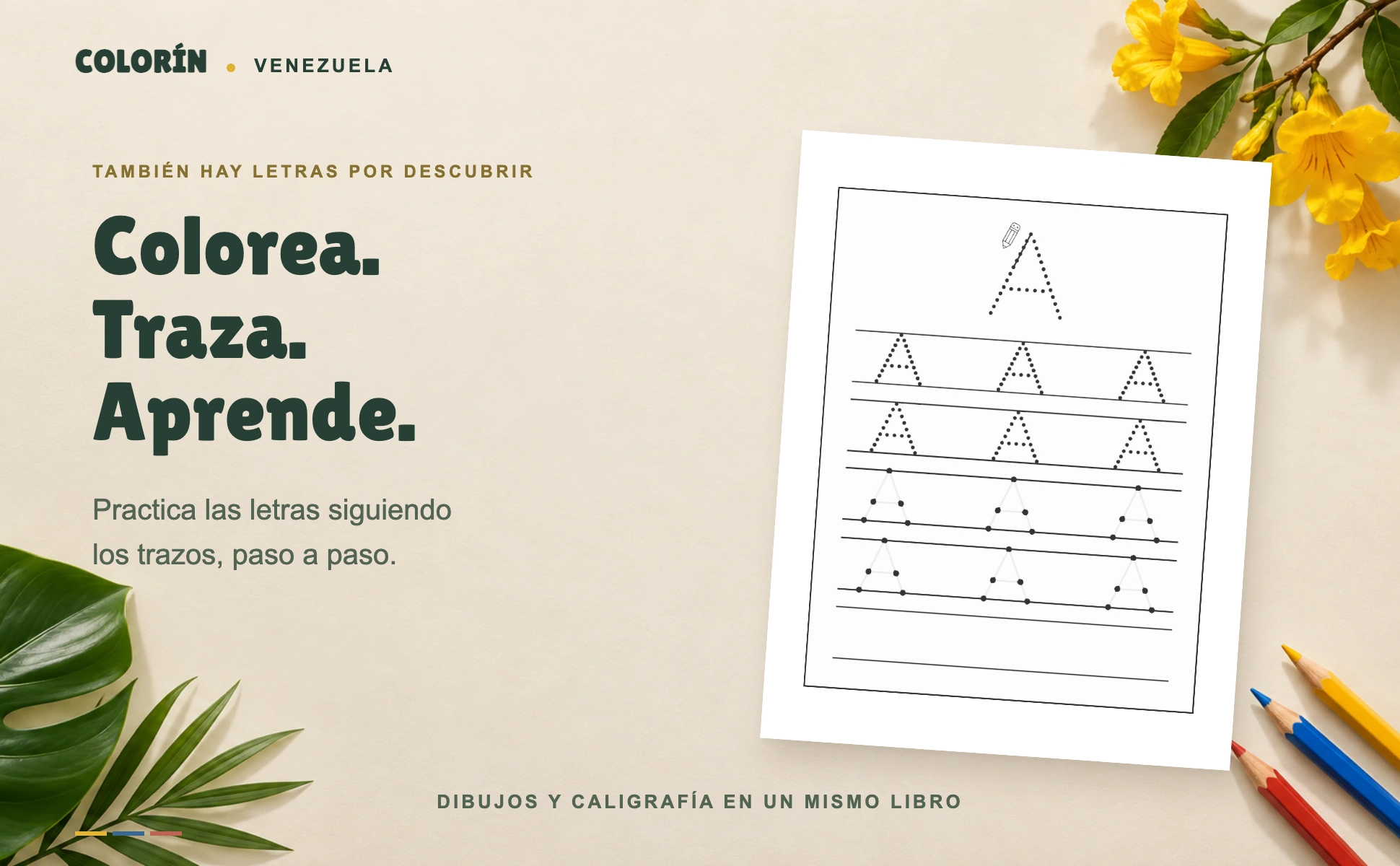 Caligrafía de la letra A de Colorín Venezuela